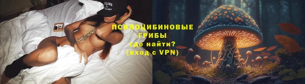 стафф Зеленодольск