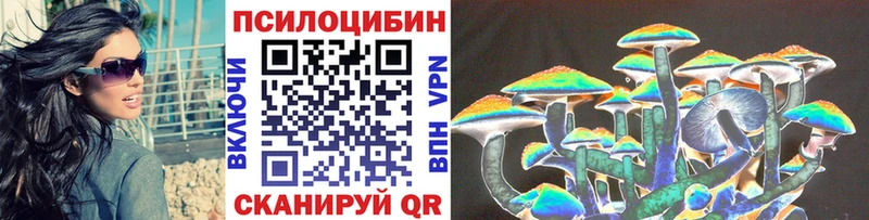 Псилоцибиновые грибы Psilocybe  Купить закладки  Грязовец 